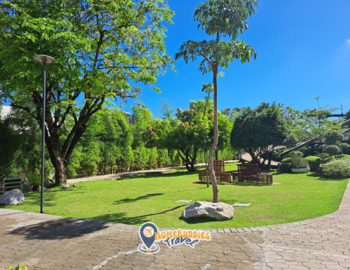 Trees and green scenery